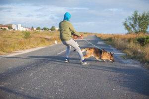 Junger Mann wird von seinem deutschen Schäferhund gezogen, den er spazieren führt.