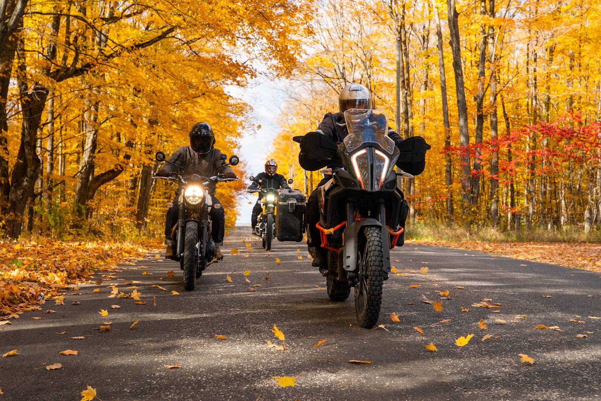 Gruppe Motorradfahrer im herbstlichen Wald | SW Motech